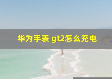 华为手表 gt2怎么充电